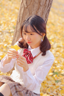 妖姬与艳妓详情介绍
